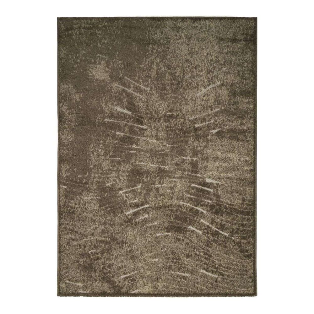 Tapis moderne extérieur  intérieur brun 160x230