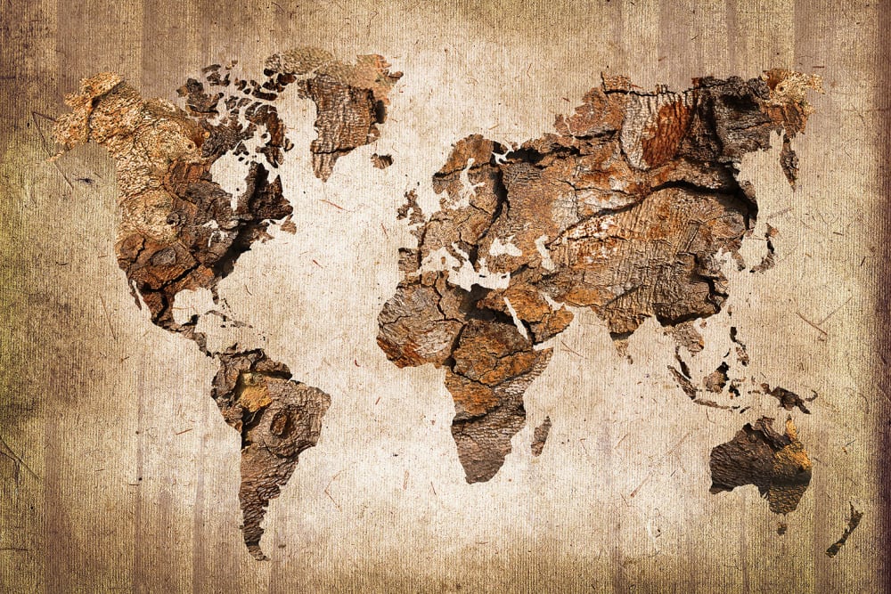 Tableau carte du monde effet bois toile imprimée 120x80 cm