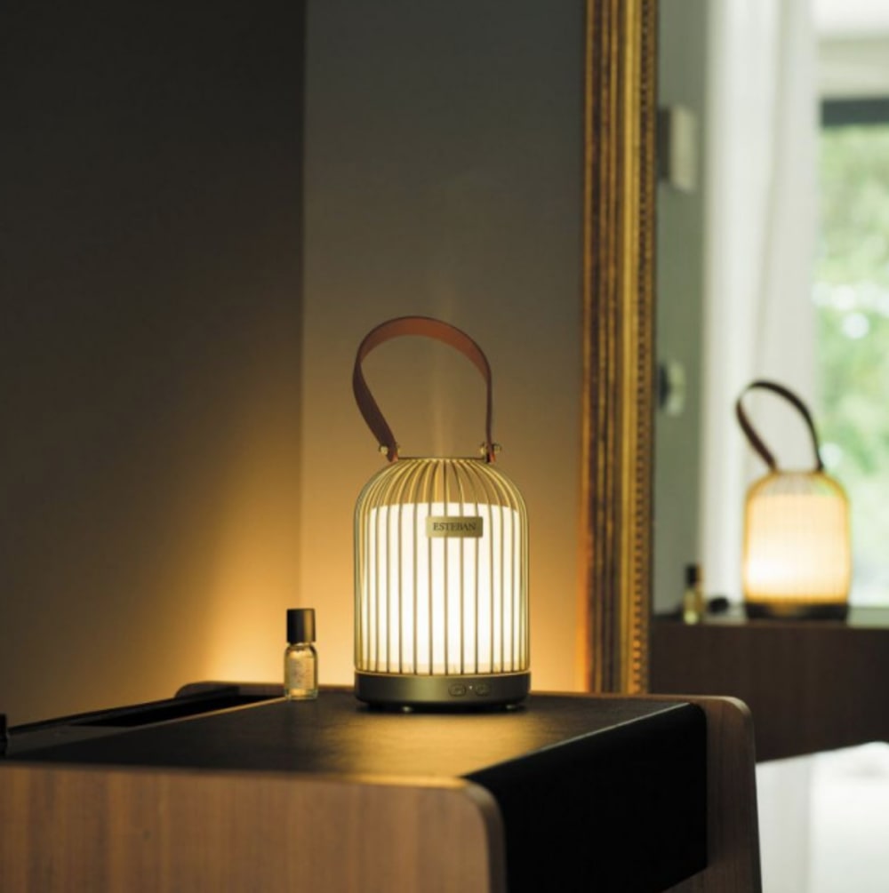 Diffuseur brume de parfum électrique