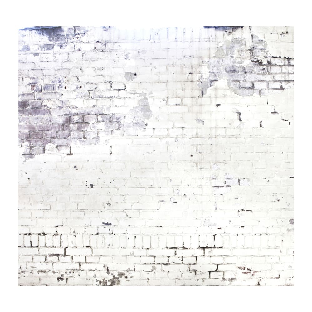 Papier peint panoramique intissé mur briques loft blanc 300x300cm