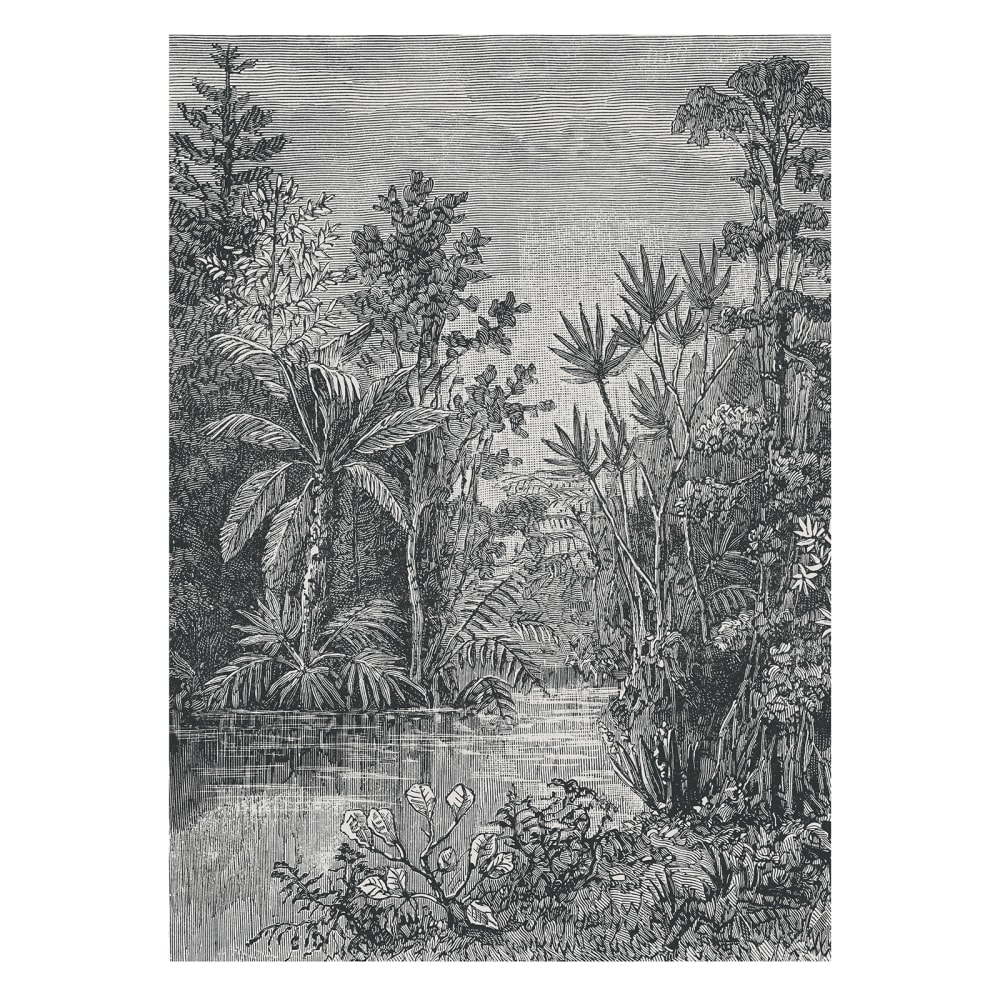 Papier peint panoramique intissé jungle gris 200x280cm