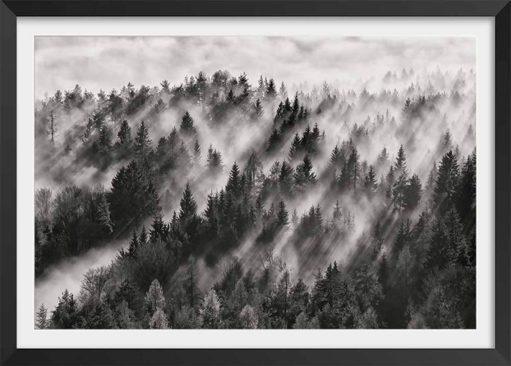 Raggi di luce poster paesaggio con marco negro 45x30cm - Modello Contemporaneo - Verde - LEGNO