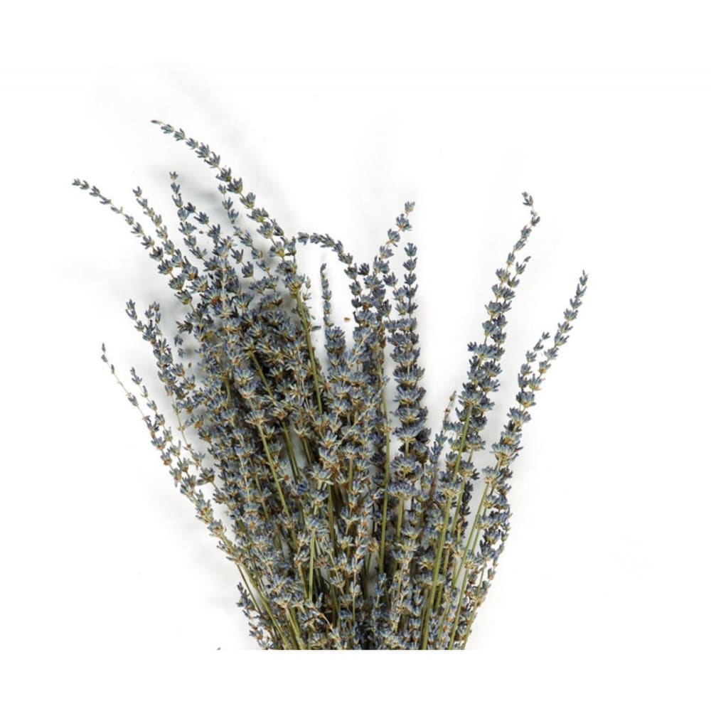 Bouquet de fleurs séchées lavandes - Maisons du Monde
