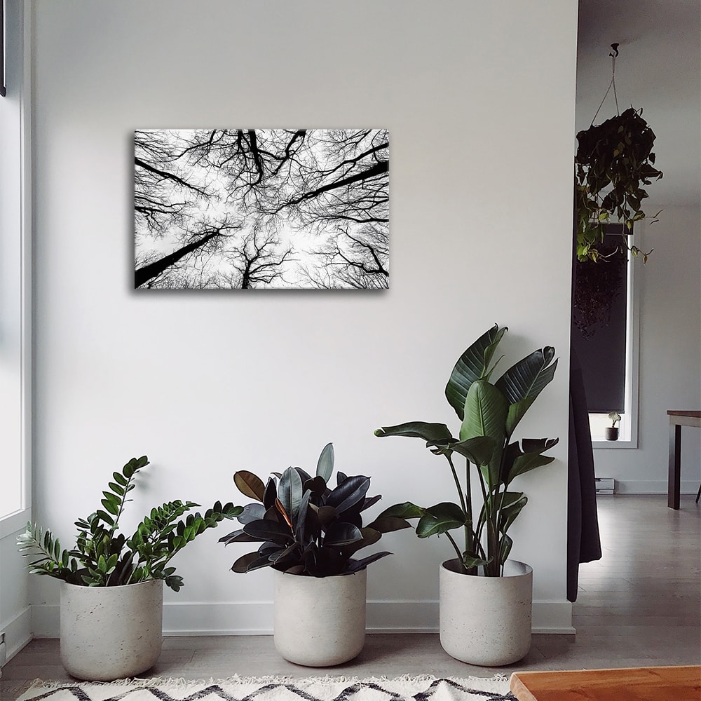 Tableau impression sur toile branches dépouillées 60x90cm - Maisons du Monde