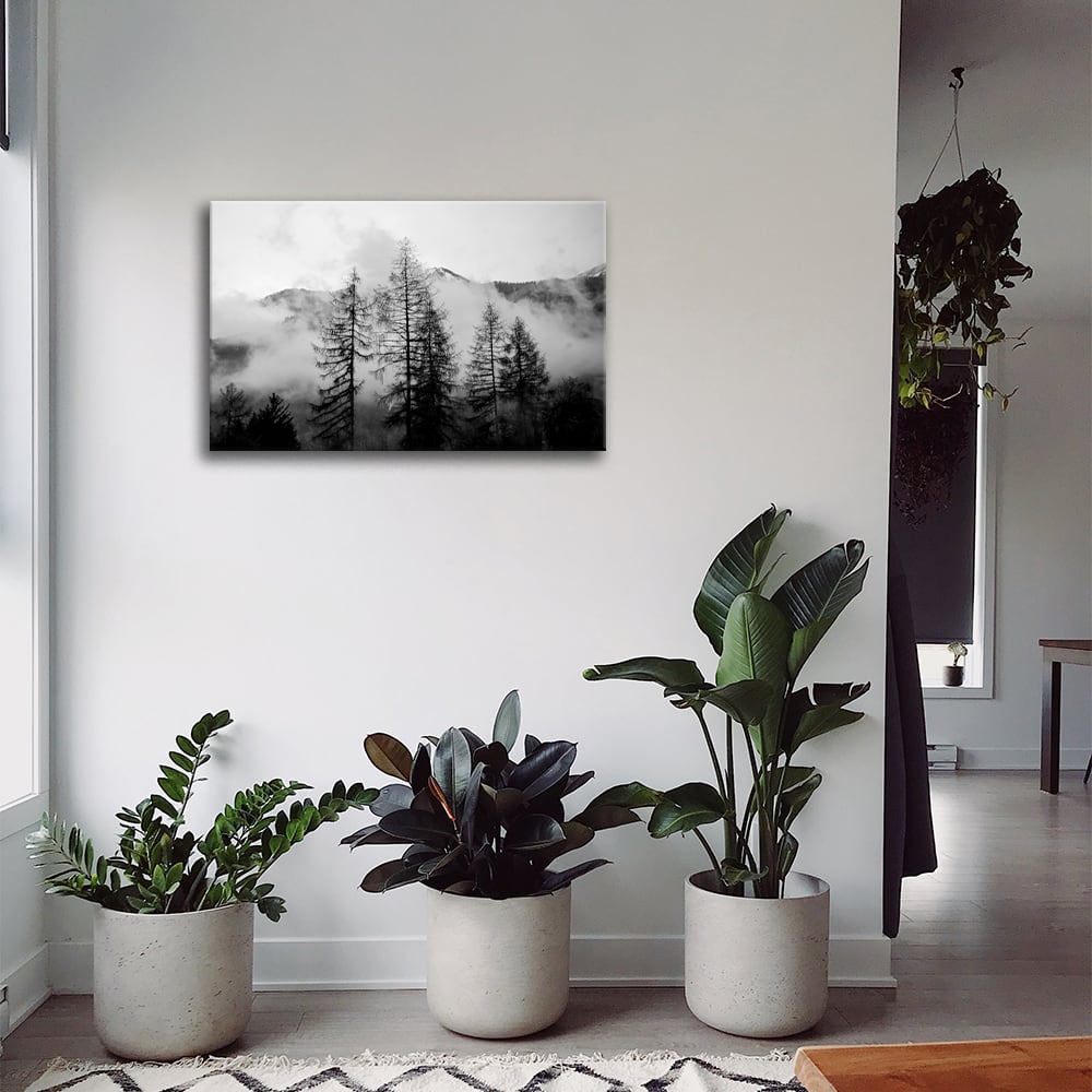 Tableau impression sur toile des pins nus dans les nuages 60x90cm