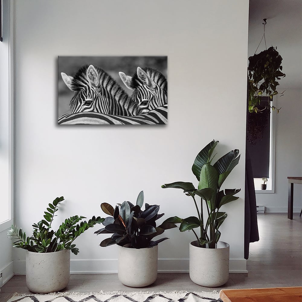 Tableau impression sur toile crinières bicolores 60x90cm - Maisons du Monde