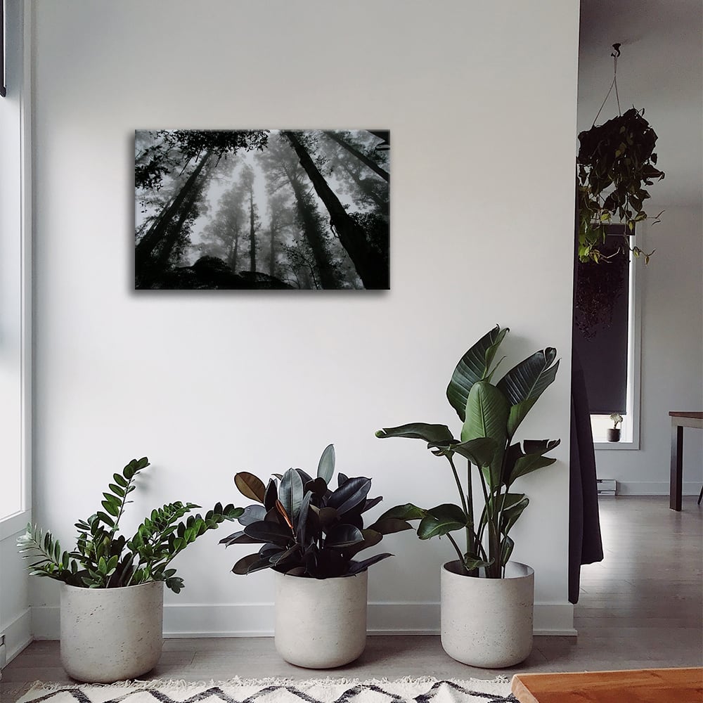 Tableau impression sur toile brouillard dans les cimes 60x90cm - Maisons du Monde