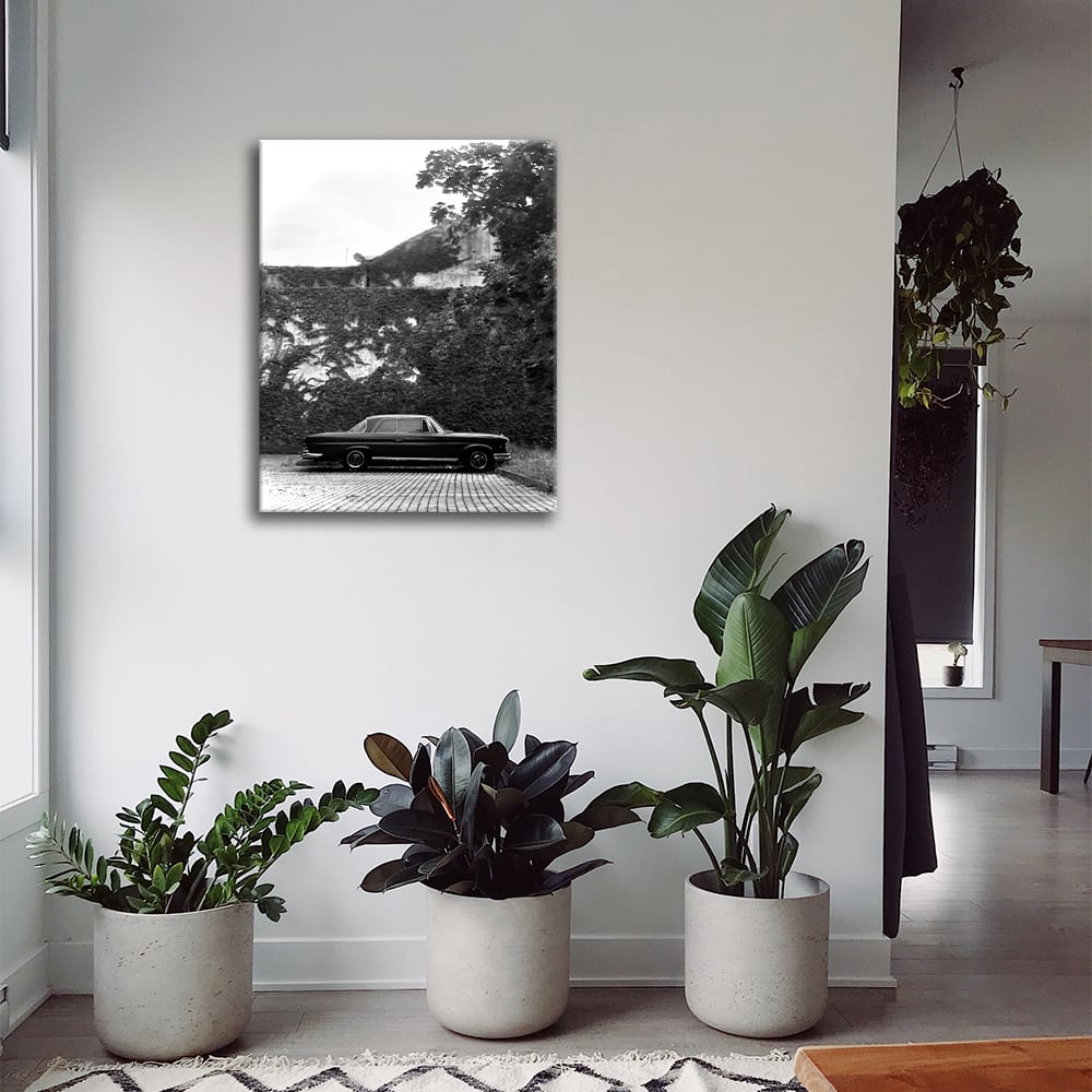 Stampa su tela - Parcheggio sotto l'edera cm. 60x80 - Legendarte