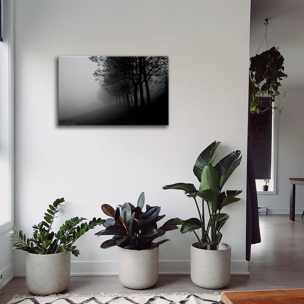 Stampa decorativa - Nebbia tra gli alberi cm. 60x90 - Legendarte