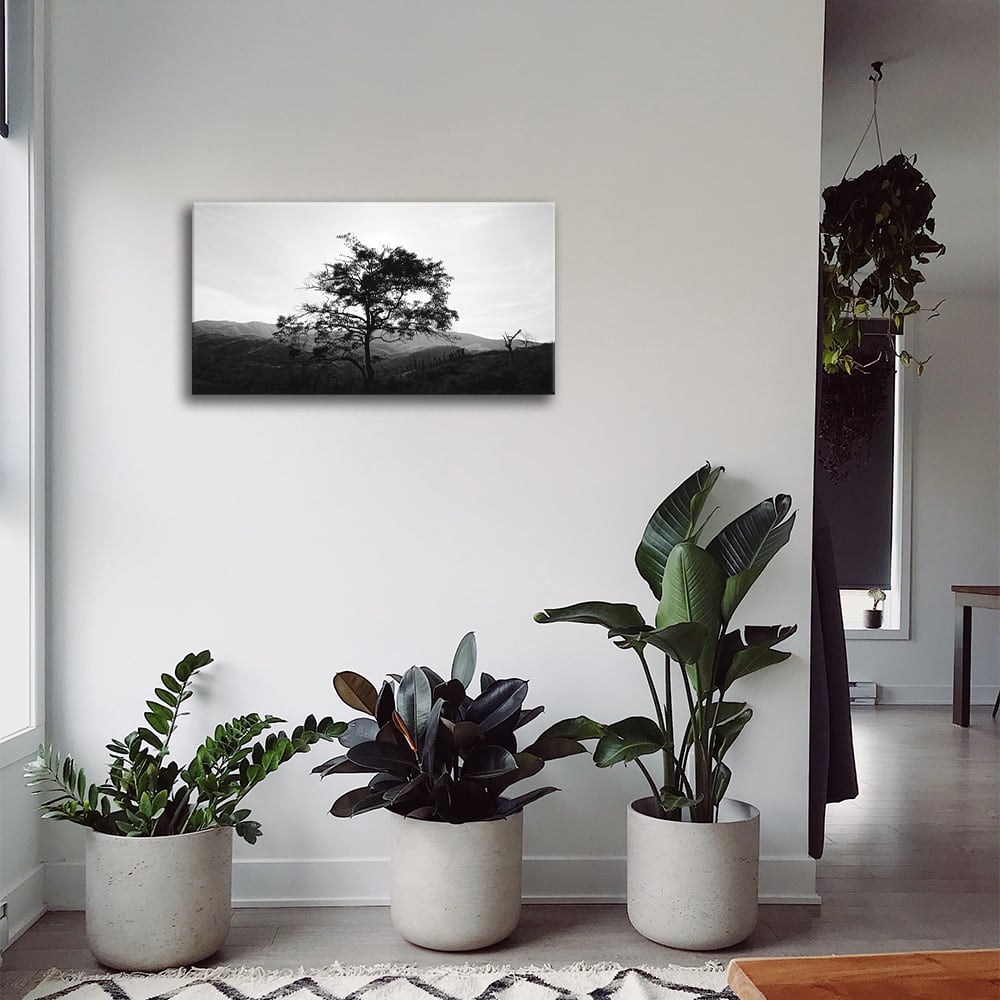 Tableau impression sur toile un arbre dans les collines 50x90cm - Maisons du Monde