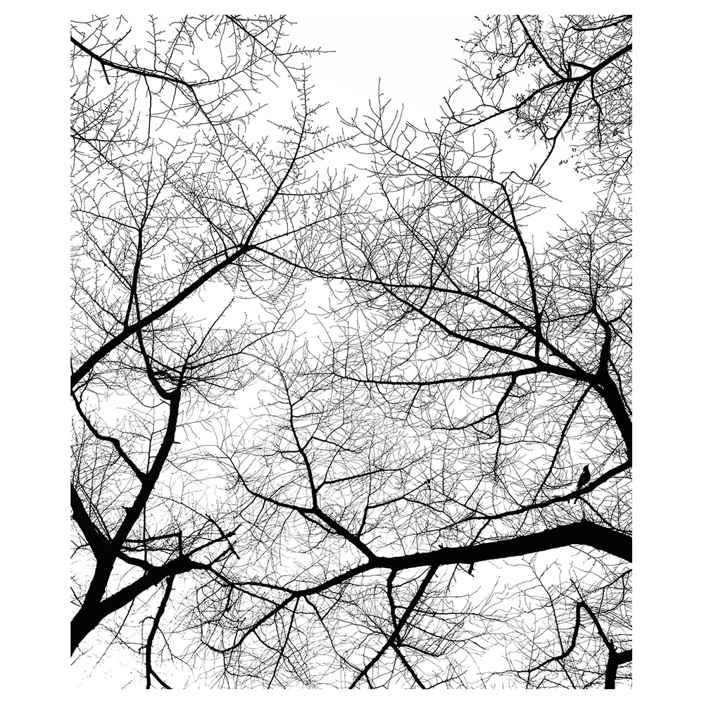 Tableau impression sur toile le ciel en hiver 60x75cm