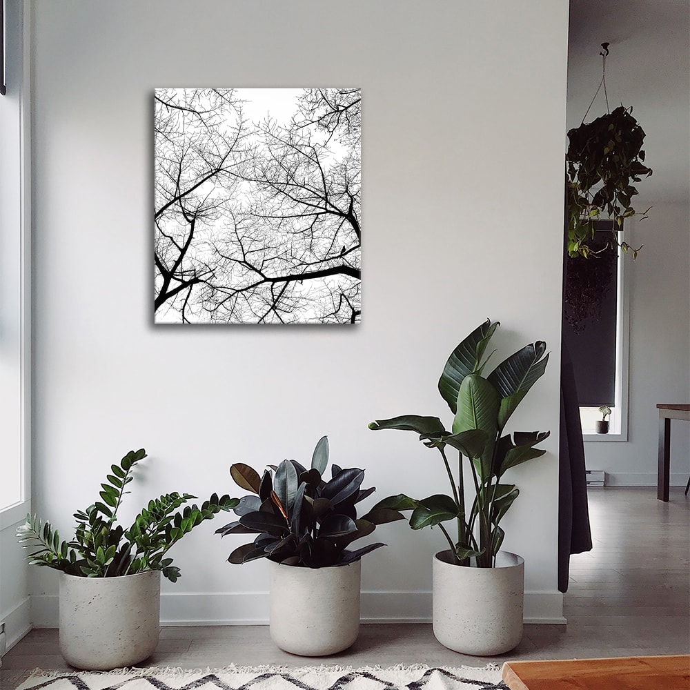 Cuadro - El Cielo En Invierno cm. 60x75 - Maisons du Monde