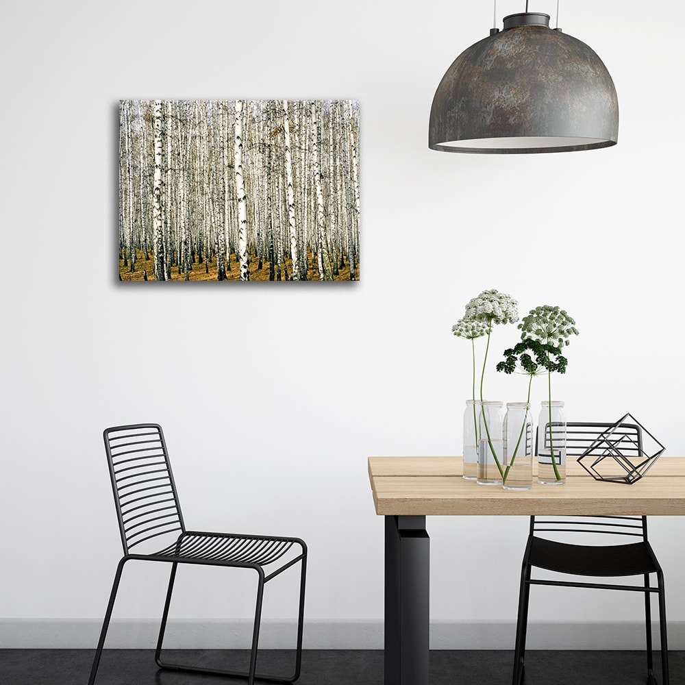 Cuadro - Denso Bosque De Abedules cm. 80x100 - Maisons du Monde