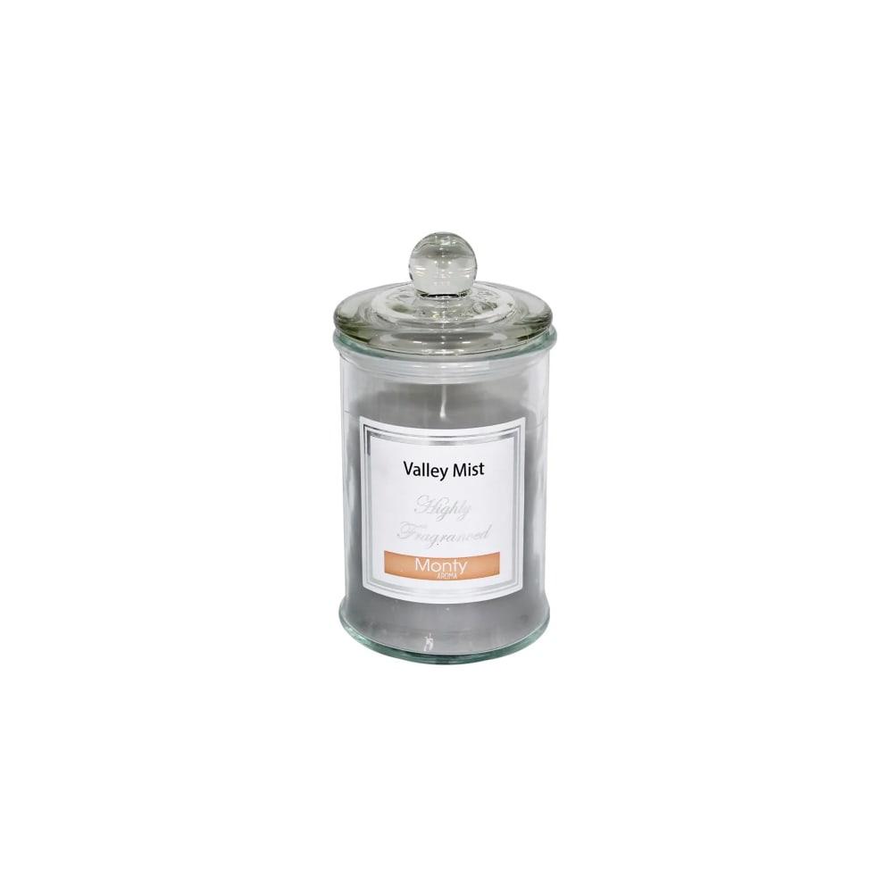 Bougie parfumée dans pot en verre brume de la vallée 9,5x17cm