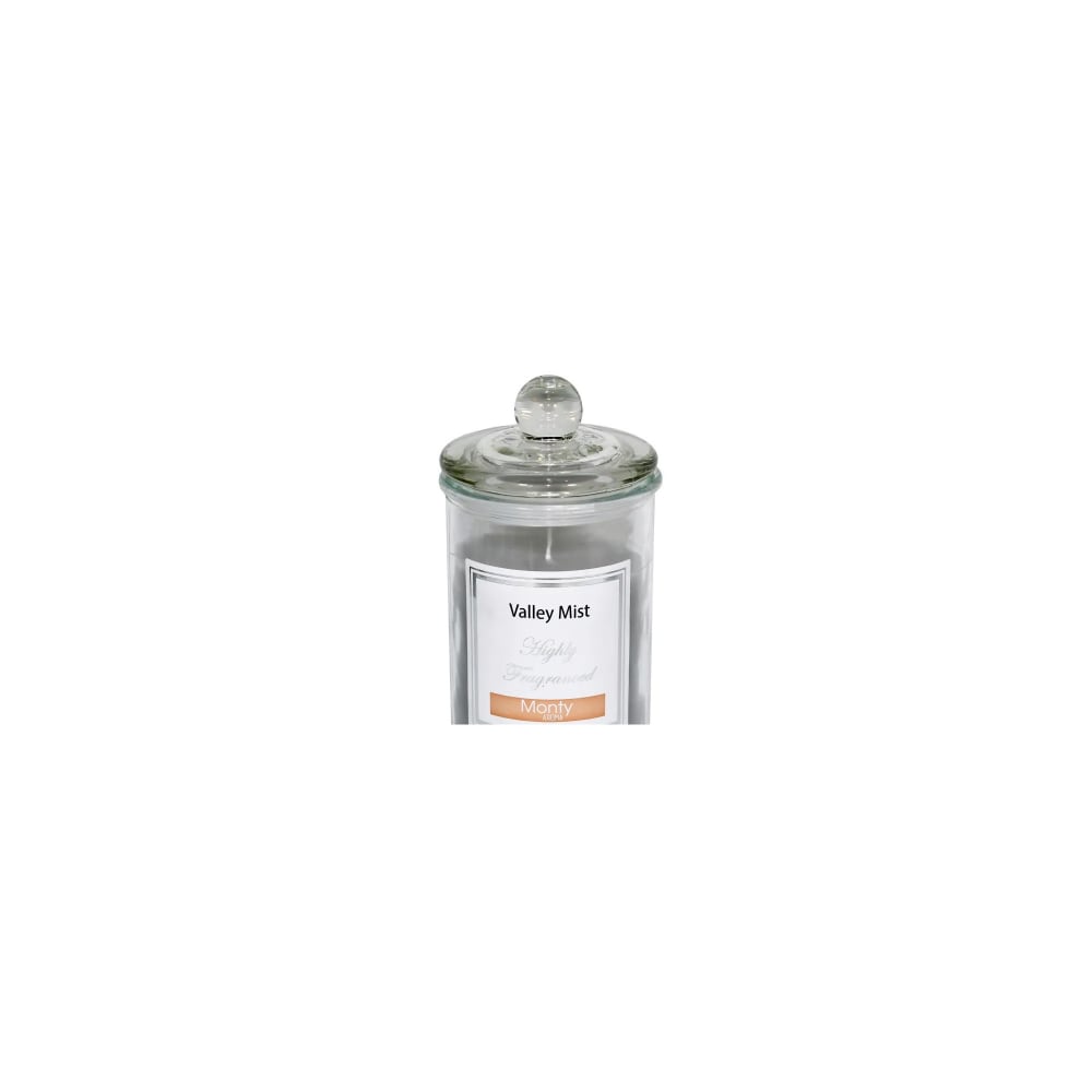 Bougie parfumée dans pot en verre brume de la vallée 9,5x17cm - Maisons du Monde
