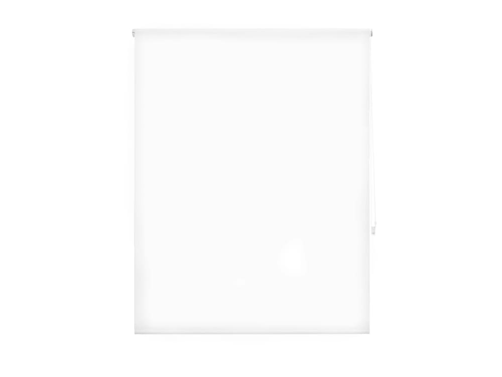 Estor enrollable blanco optico sujeción pared o techo 100X250