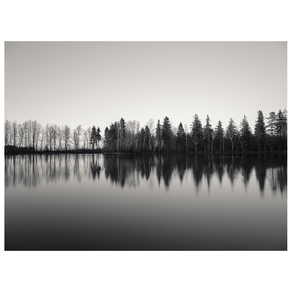 Cuadro - Los Árboles Se Reflejan En El Agua cm. 60x80