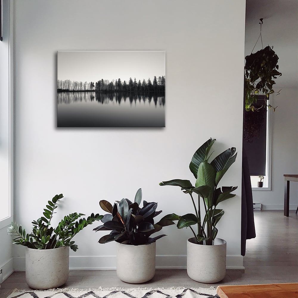 Cuadro - Los Árboles Se Reflejan En El Agua cm. 60x80 - Maisons du Monde