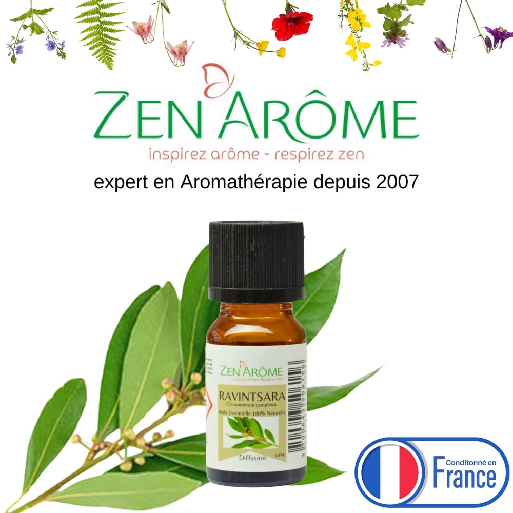 Ätherisches Öl Ravintsara - 10ml - Maisons Du Monde