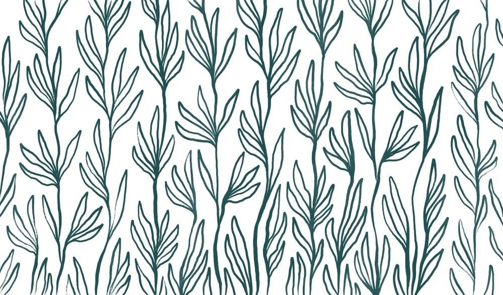 Papel pintado panorámico hojas, verde 425 x 250cm - Maisons du Monde