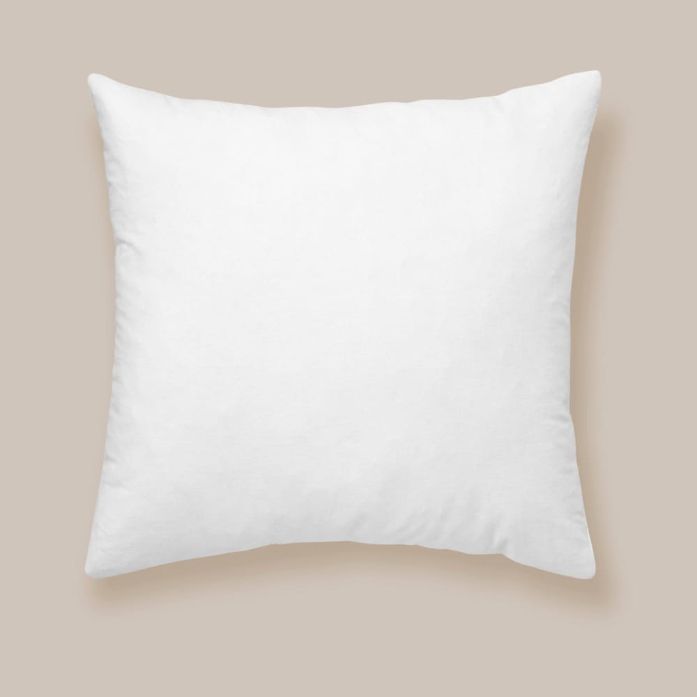 Remplissage de coussin Blanc 50x50