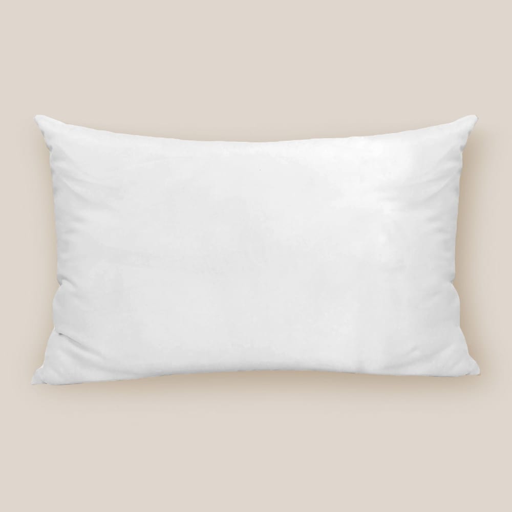 Remplissage de coussin Blanc 30x50