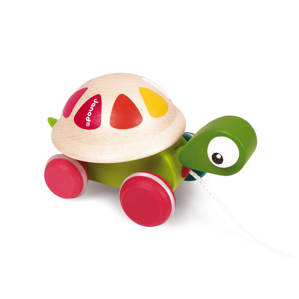 Tortue zigolo à promener