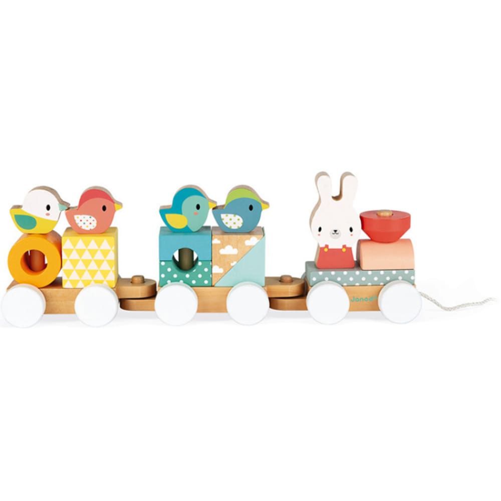 Janod Train de construction en bois Pure style contemporain Multicolore Bois - 7x31x12cm