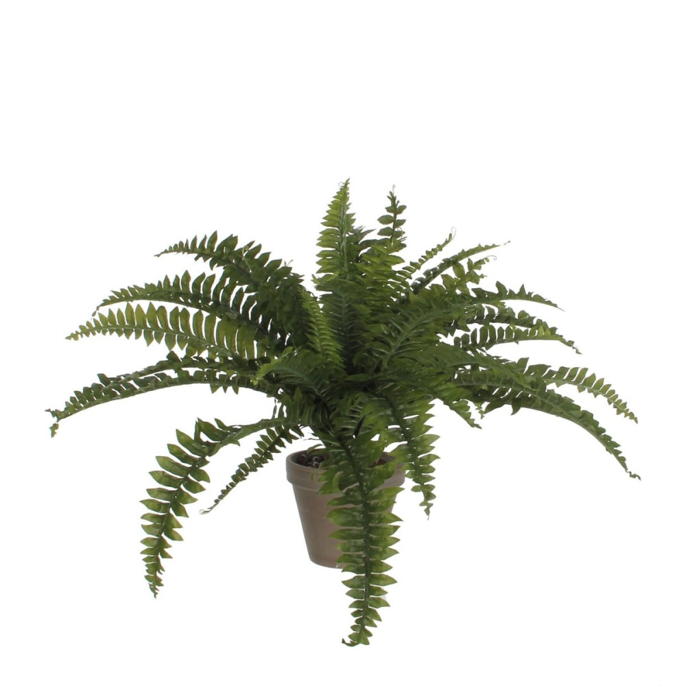 Pianta artificiale fern verde h45xb70xl70cm - Modello Esotico - Verde - PES - Poliestere