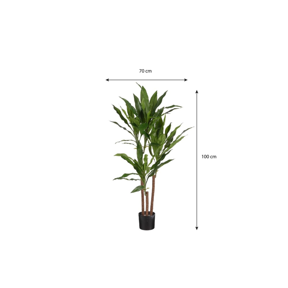 Planta artificial dracaena verde h100xb70xl70cm - Maisons du Monde