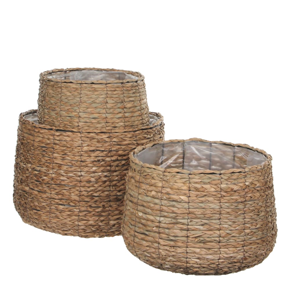 Ensemble de paniers pour - plantes