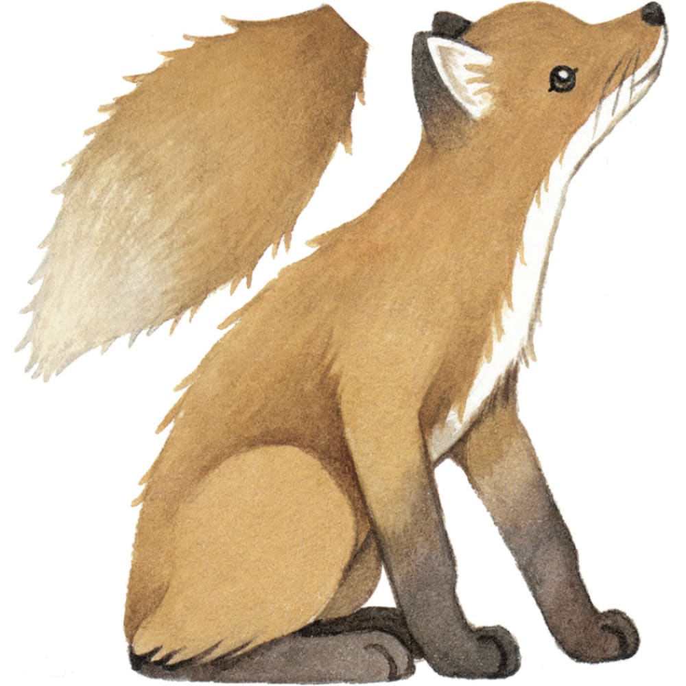 Sticker renard Forest (Lilipinso) - Image 2