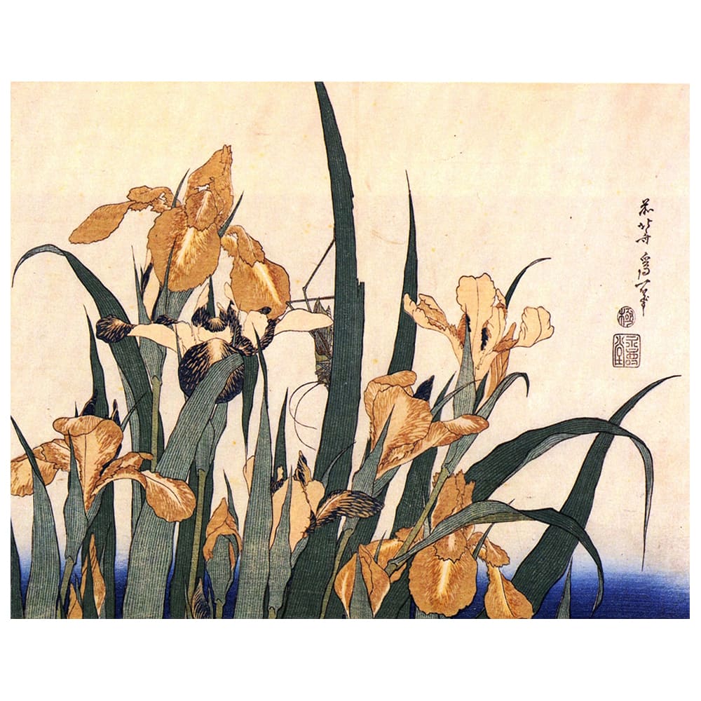 Stampa su tela - Iris E Cavalletta - Katsushika Hokusai cm. 80x100 - Multicolore - PES - Poliestere
