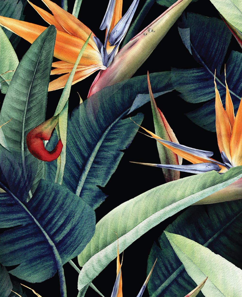 Tableau sur toile jungle 40x50