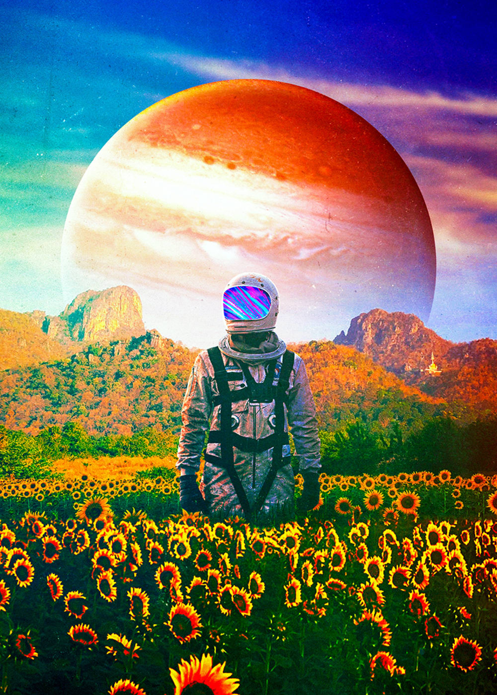 Tableau sur toile seamless tournesol 50x70