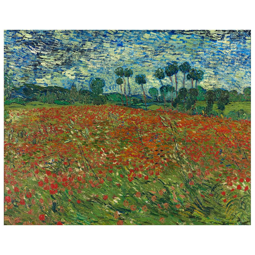 Stampa su tela - Campo Di Papaveri - Vincent Van Gogh cm. 50x60 - Multicolore - PES - Poliestere