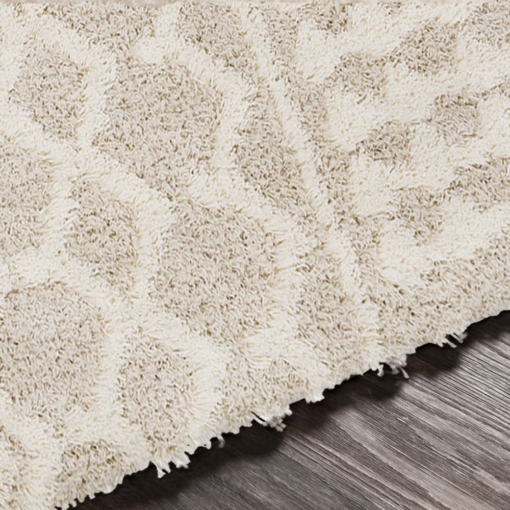Tapis shaggy bohème ivoire/beige 201x290 — vue 4