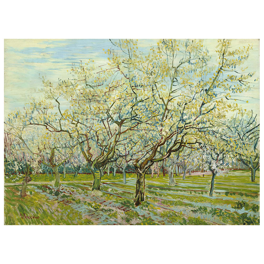 Stampa su tela - Frutteto Bianco - Vincent Van Gogh cm. 60x80 - Multicolore - PES - Poliestere