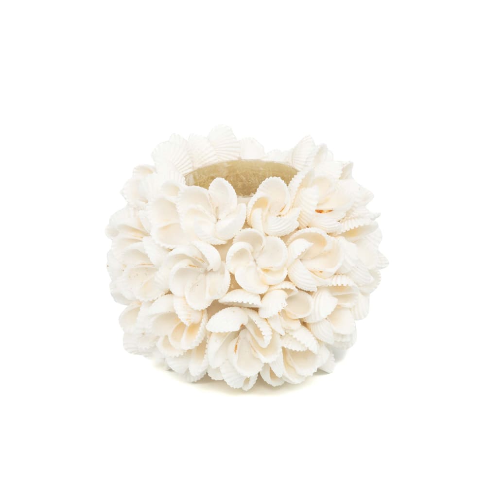 Portavelas de concha en blanco 9x9x9 cm - Maisons du Monde