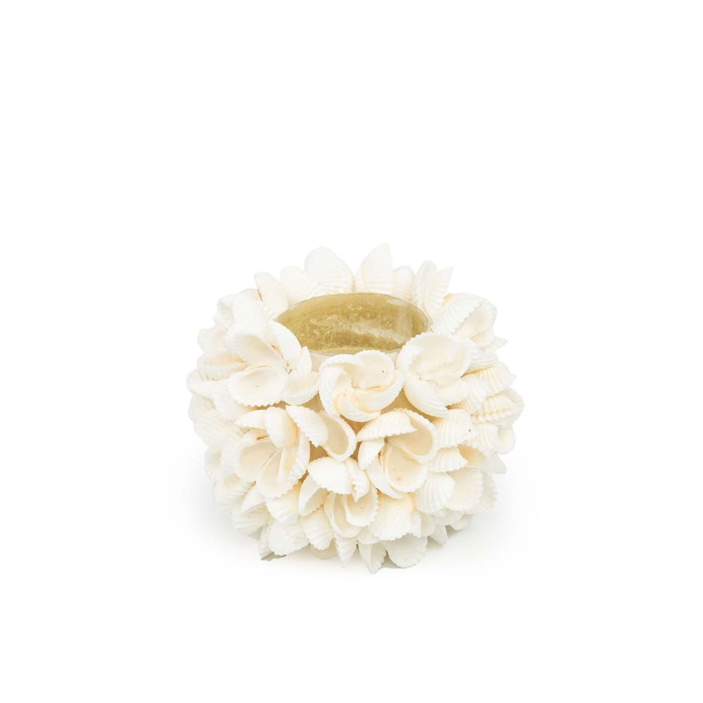 Portacandela in conchiglia bianco 7x7x7 cm - Bazar Bizar