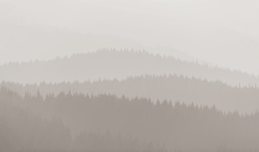 Papier peint low mountains, beige 425 x 250cm — vue 3