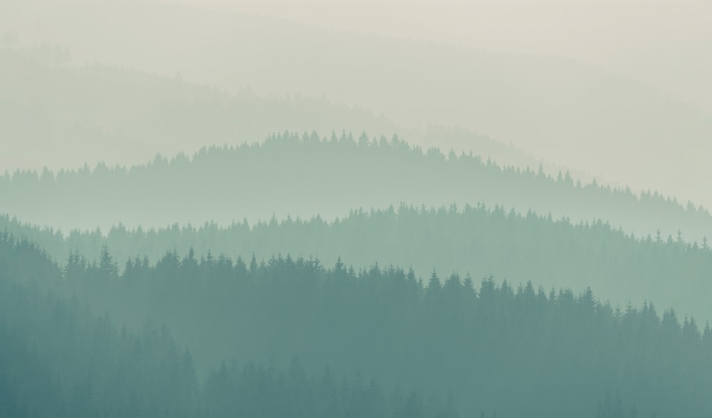 Carta da parati panoramica low mountains, verde 340 x 250cm -