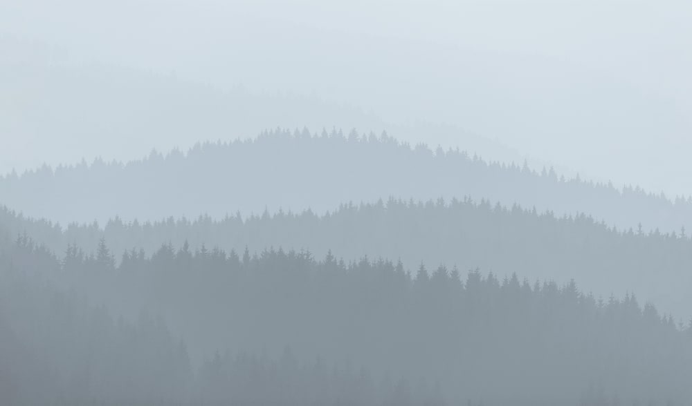 Papel pintado panorámico montañas bajas, gris 170 x 250cm - Maisons du Monde