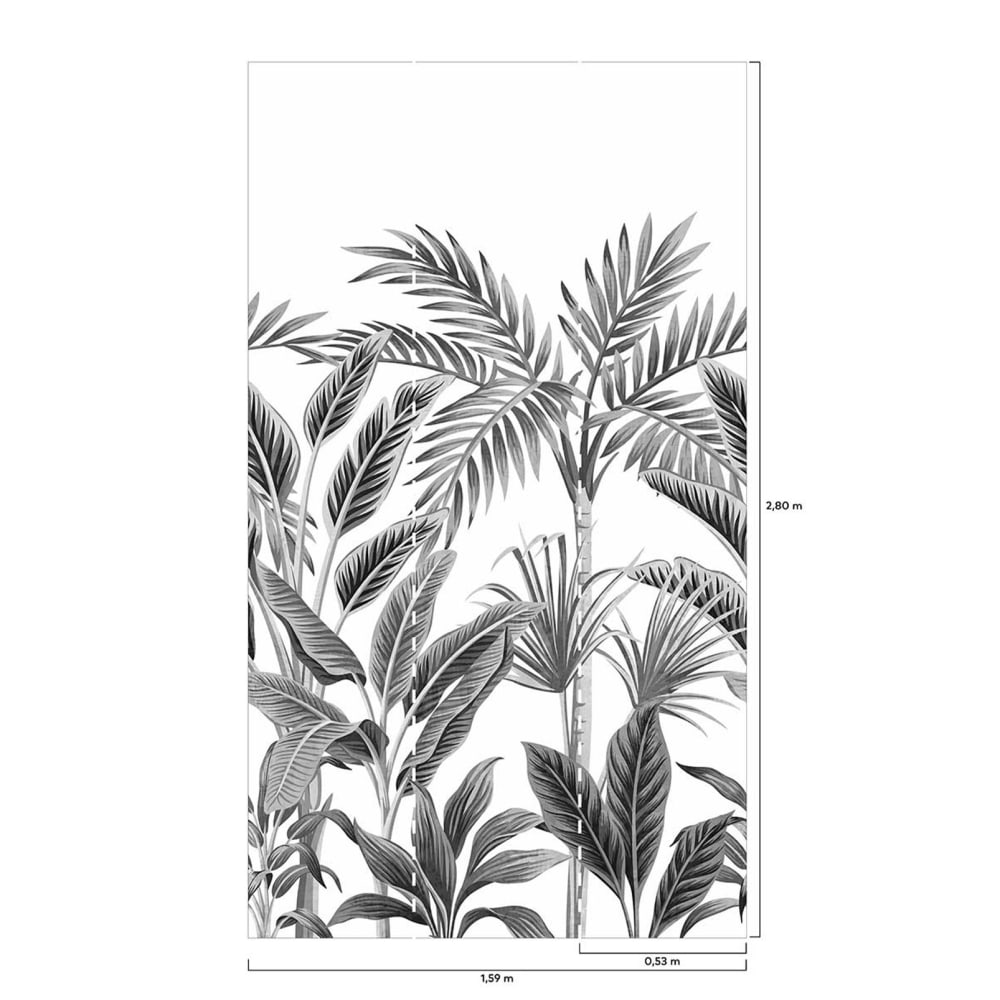 Papier peint rouleau palmeraie 159x280 cm — vue 3