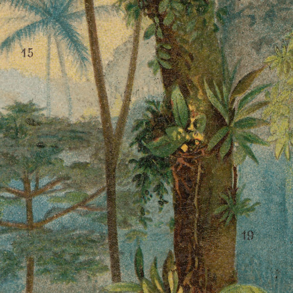 Papier peint panoramique Mauritia — vue 3