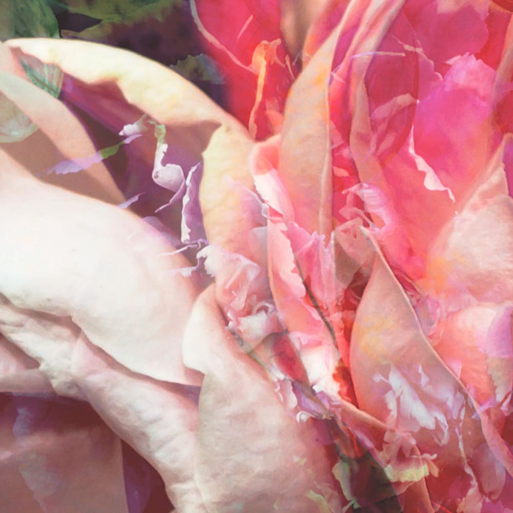 Papel pintado panorámico rosas antiguas - Maisons du Monde