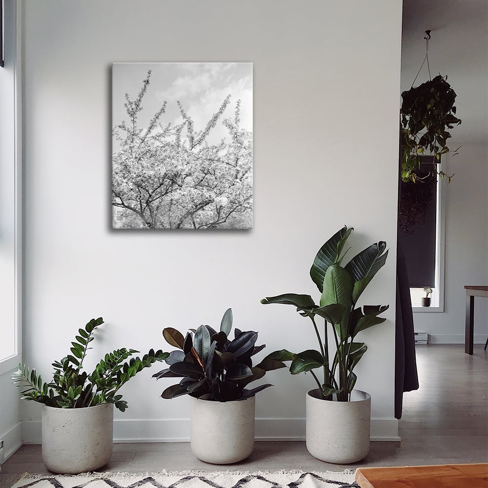 Tableau impression sur toile branches blanches à fleurs 60x90cm