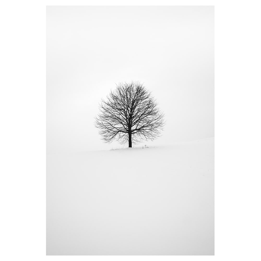 Tableau impression sur toile hiver blanc 60x90cm