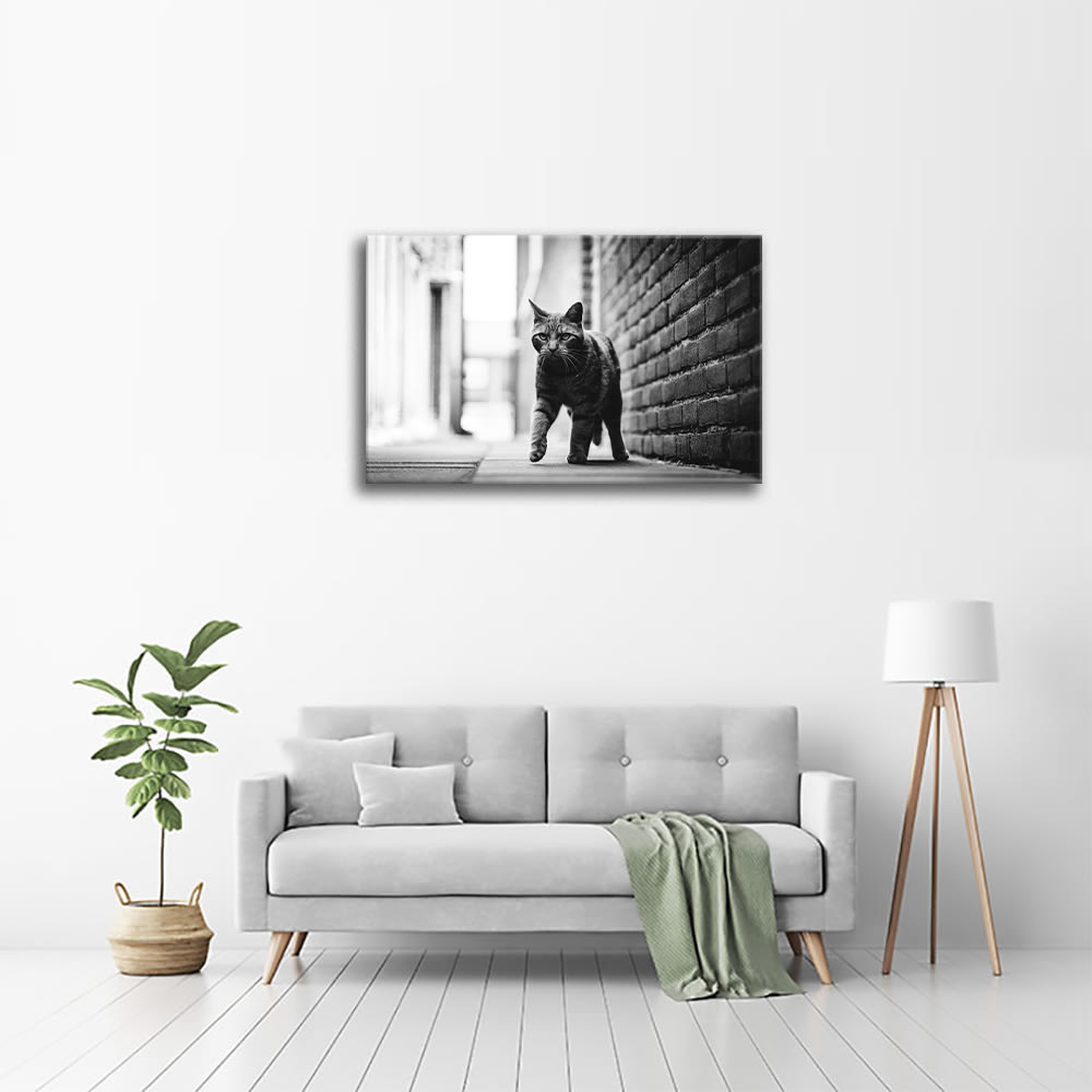 Tableau impression sur toile pas de chat 60x90cm