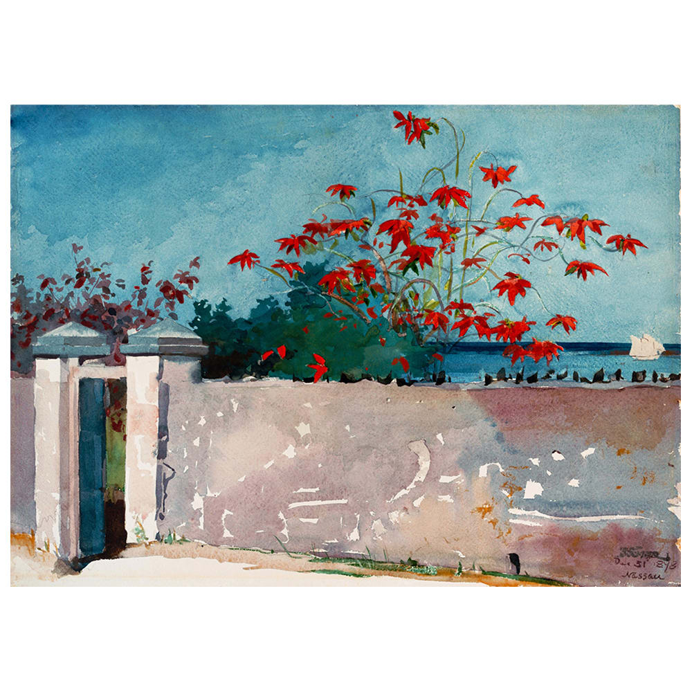 Stampa su tela - Muro A Nassau - Winslow Homer cm. 80x110 - Multicolore - PES - Poliestere